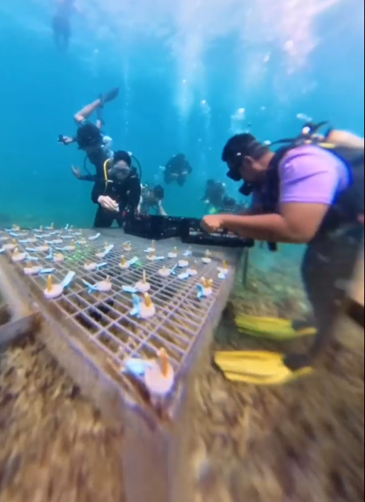 Eco Day Trip (Private Charter) - Image 3