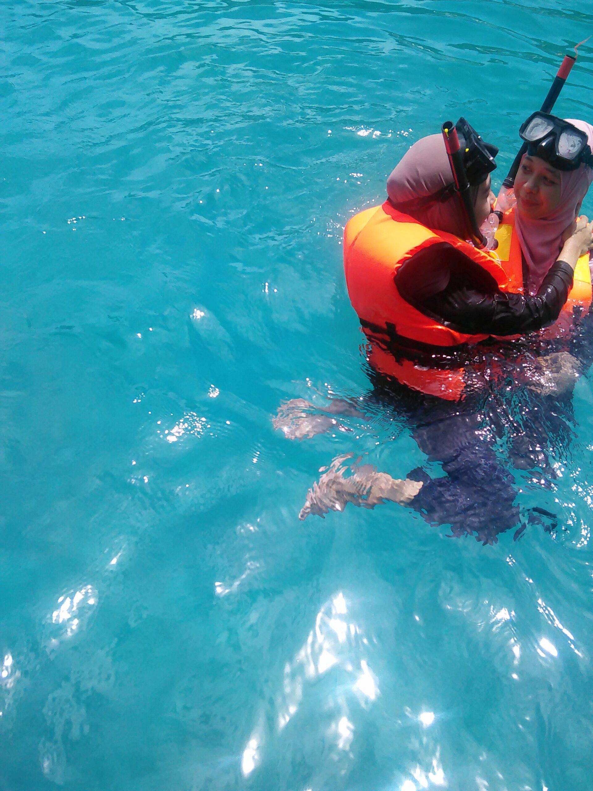 Eco Day Trip (Private Charter) - Image 5
